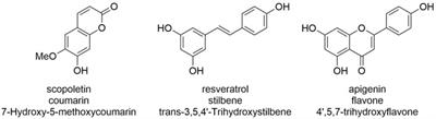 Family 1 glycosyltransferases (GT1, UGTs) are subject to dilution-induced inactivation and low chemo stability toward their own acceptor substrates